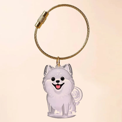 Pet Hair Keychain
