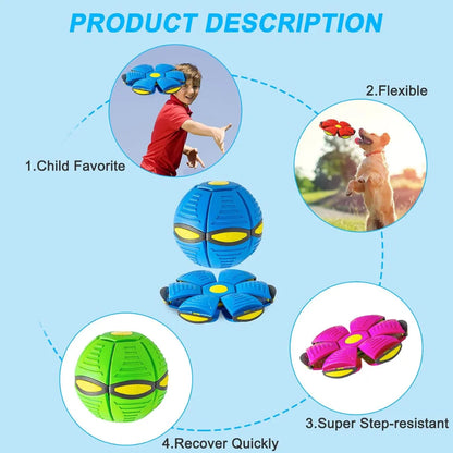 SwiftShape Ball