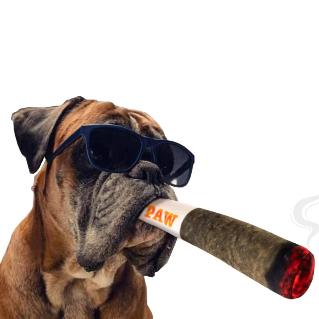 Doggy Doobie - The Squeaky Blunt Dog Toy