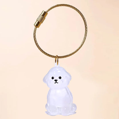 Pet Hair Keychain