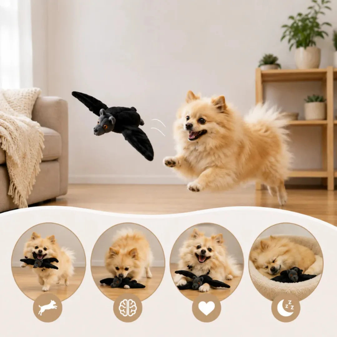WildWhisker™ Flying Bat Toy
